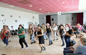 Motors arts days un évenement auto moto dans le village d'angliers expositon de vehicule americain, vw et véhicule de prestige, concert et animation le 11 et 12 avril