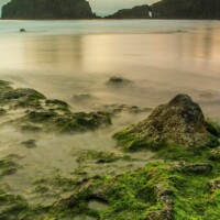 Irish Shoreline Irish Shoreline ALT